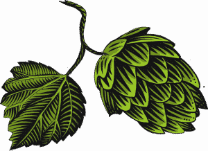 hopfen-bier